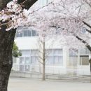 通信制高校の入学時期は4月と10月！転入・編入はいつでも可能！