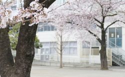 通信制高校の入学時期は4月と10月！転入・編入はいつでも可能！