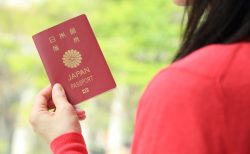 高校中退でも、海外留学できる？|留学支援のある通信制高校も