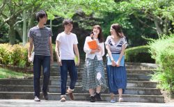 通信制高校から大学受験・進学は難しい？ 合格率や注意点を紹介